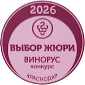 Выбор жюри